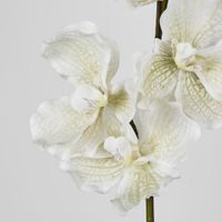 Real Touch phalaenopsis Orchid 78cm White