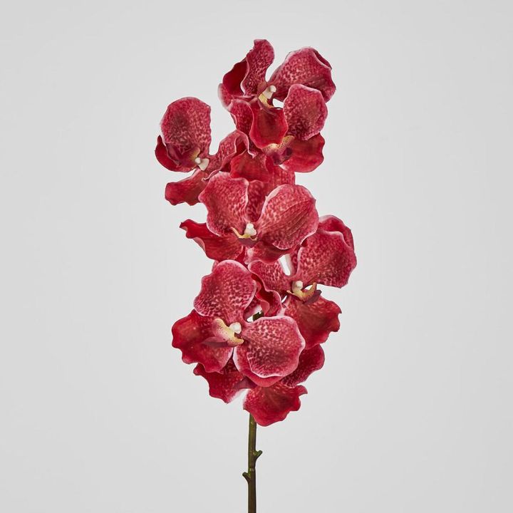 Real Touch phalaenopsis Orchid 78cm Fuschia