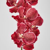 Real Touch phalaenopsis Orchid 78cm Fuschia
