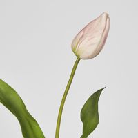 Soft Touch Tulip Stem Light Pink