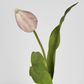 Soft Touch Tulip Stem Light Pink