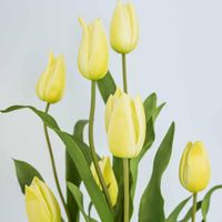 Soft Touch Tulip Stem Yellow
