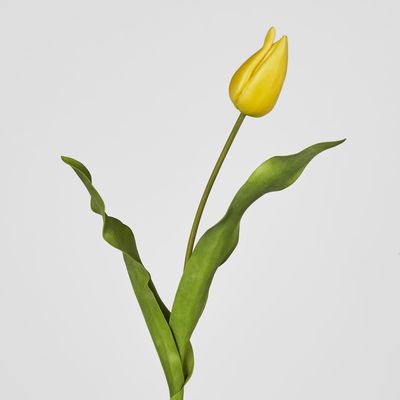 Soft Touch Tulip Stem Yellow