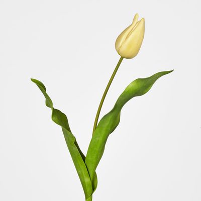 Soft Touch Tulip Stem Yellow