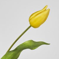 Soft Touch Tulip Stem Yellow