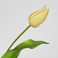 Soft Touch Tulip Stem Yellow