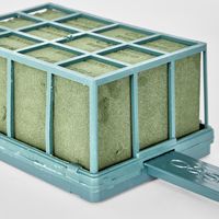 Caged Oasis Foam with handle