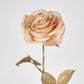 Champagne with Champagne Gold Glitter Christmas Venus Rose with 2 sets of Leaves