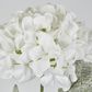 Snow Covered White Christmas Hydrangea with 2 Leaves