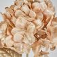 Champagne with Champagne Gold Glitter Christmas Hydrangea with 2 Leaves