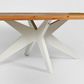 Mudgee 220 cm  Dining Table Timber Top White Leg