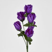 Rosebud Bush Sold in Box Qty Only