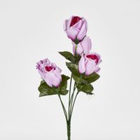 Rosebud Bush Sold in Box Qty Only