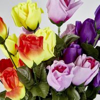 Rosebud Bush Sold in Box Qty Only