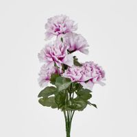 Carnation Bush Sold in Box Qty Only