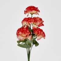 Carnation Bush Sold in Box Qty Only