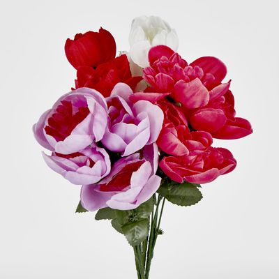 Peony Bush Sold in Box Qtys only