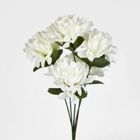 Chrysanthemum Bush Sold in Box Qty Only
