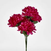 Chrysanthemum Bush Sold in Box Qty Only