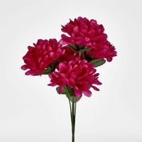 Chrysanthemum Sold in Box Qtys only