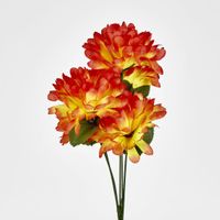 Chrysanthemum Bush Sold in Box Qty Only
