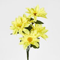 Asst Sunflower Gerbera Daisy Bush Sold in Box Qty Only