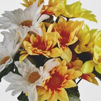 Asst Sunflower Gerbera Daisy Bush Sold in Box Qty Only
