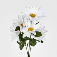 Asst Sunflower Gerbera Daisy Bush Sold in Box Qty Only
