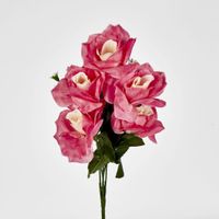 Rose Bush  Sold in Box Qty Only