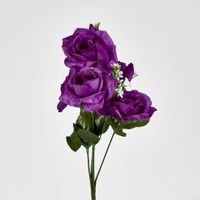 Rose Bush  Sold in Box Qty Only