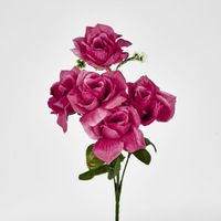 Rose Bush  Sold in Box Qty Only
