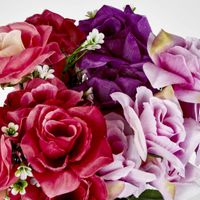 Rose Bush  Sold in Box Qty Only
