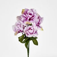 Rose Bush  Sold in Box Qty Only
