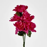 Dahlia Bush Asstd Sold in Box Qty Only