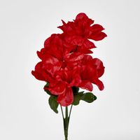 Dahlia Bush Asstd Sold in Box Qty Only