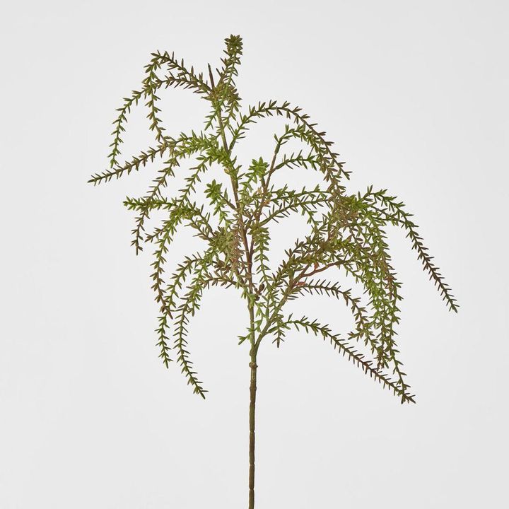 Brown Green leaf Spray