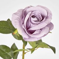 Lilac Purple Open Rose Stem 68cm