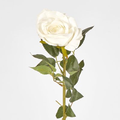 White Open Rose Stem 68cm