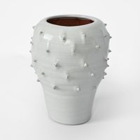 Cactus Vase  Large