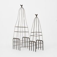 Trellis Stand  Set of 2