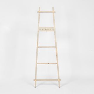 Barn Ladder