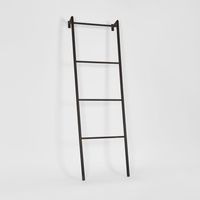 Metal Ladder