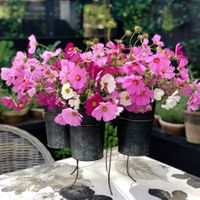 French Tin Centrepiece Large