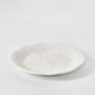 Luxe Cabbage Leaf Salad Plate Box of 6