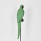 Amabela Parrot Medium Green