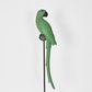 Amabela Parrot Large Green