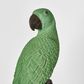 Amabela Parrot Large Green