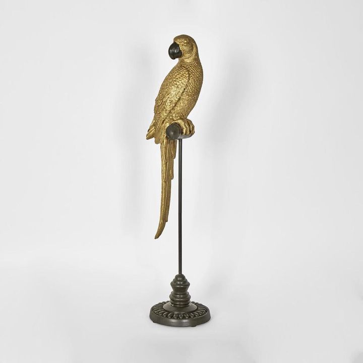 Amabela Parrot Medium Gold
