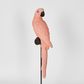 Amabela Parrot Small Pink