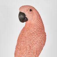 Amabela Parrot Small Pink